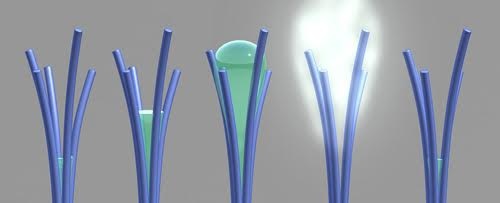 Nhà khoa học tạo ra thanh nano hút được nước từ không khí