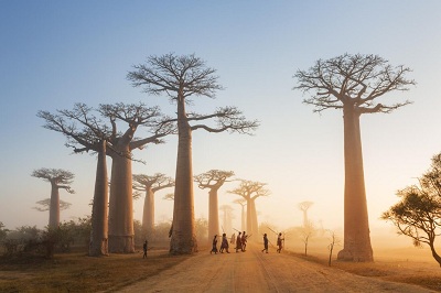 Khám phá miền đất hoang dã Madagascar đẹp tựa chốn thiên đường