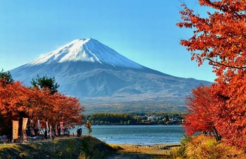Tham quan quê hương của trái đào và ngọn núi Phú Sĩ nổi tiếng