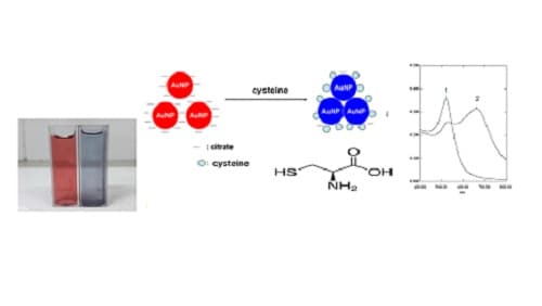 Xác định hàm lượng cysteine trong thực phẩm chức năng bằng phương pháp UV-vis sử dụng hạt nano vàng