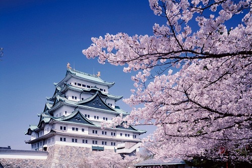 Lâu đài Nagoya: Di tích lịch sử