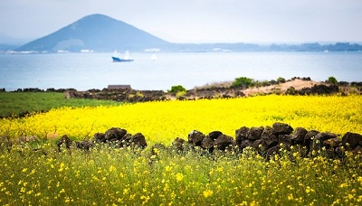 Những điều cần biết khi đi du lịch tại đảo Jeju
