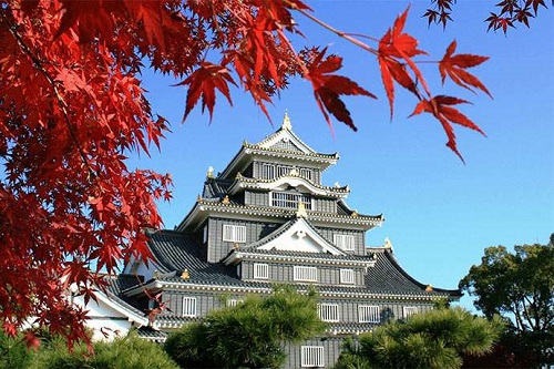 Ghé thăm lâu đài Okayama