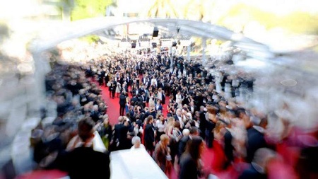 Diễn viên Hollywood đến Cannes làm gái mại dâm với giá khủng
