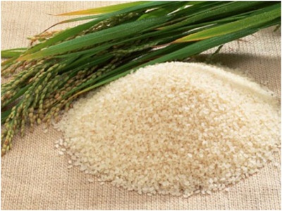 Gạo Việt Nam đắt khách tại các thị trường đang nổi
