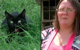Câu chuyện cảm động về chú mèo cứu 7 mẹ con thoát nạn trong gang tấc