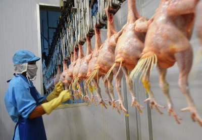 Hong Kong ban hành lệnh cấm nhập khẩu thịt, trứng gia cầm từ Pháp