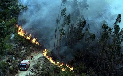 Cháy rừng lan rộng khiến Bồ Đào Nha tiếp tục sơ tán dân khỏi vùng nguy hiểm