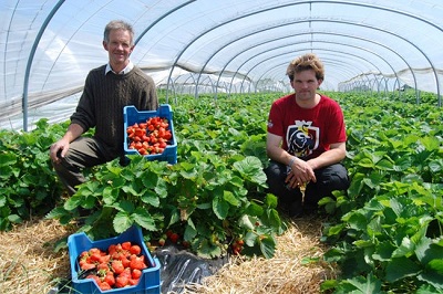 Ngành nông nghiệp Bio đang nổi lên ở châu Âu