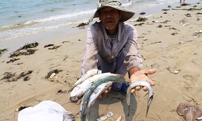Truyền thông thế giới quan tâm đến thủ phạm gây cá chết hàng loạt ở Việt Nam