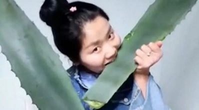 Hy hữu: Trong lúc live stream, vlogger Trung Quốc suýt chết vì ăn nhầm cây độc