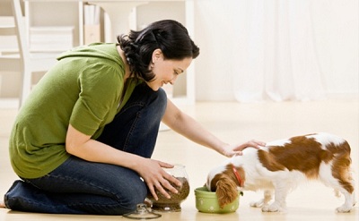 Những thực phẩm cần hạn chế cho cún cưng ăn