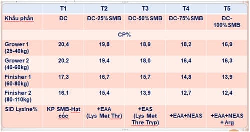 Xu thế hiện đại trong dinh dưỡng động vật nuôi: Giảm đạm thô trong khẩu phần