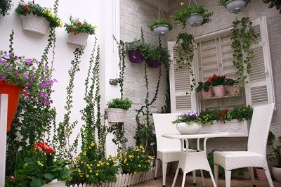Muốn cây, hoa trên những ban công chung cư luôn xanh tốt mùa hè cần lưu ý điều gì?
