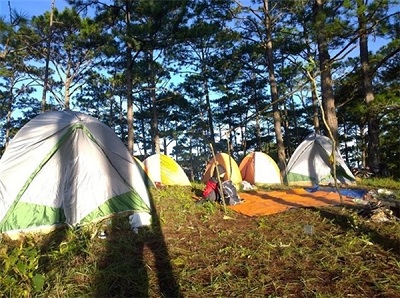 Những lời khuyên hữu ích dành cho những ai muốn cắm trại trong rừng