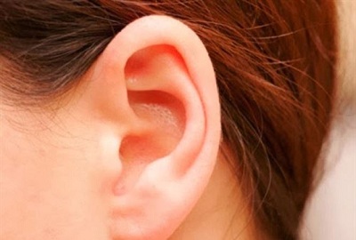 Những điều thú vị về đôi tai