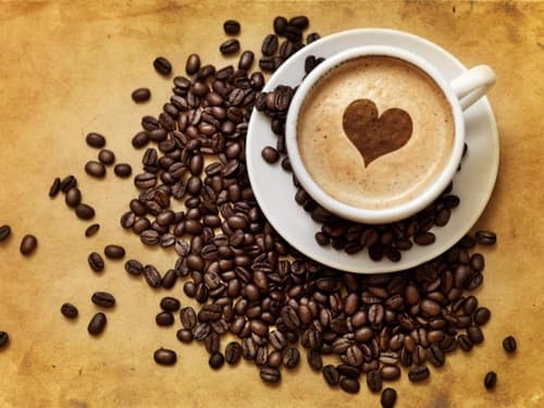 Cà phê Espresso, Americano, Latte, Cappuccino, Mocha và Machiato các đặc điểm riêng, cách pha để phân biệt