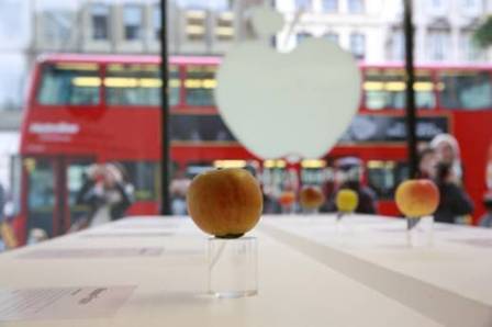 Tham quan Apple Store trưng bày 1.000 quả táo