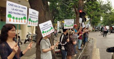 Hình ảnh: Người dân Hà Nội biểu tình phản đối chặt cây xanh