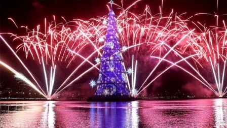 Chiêm ngưỡng cây thông Noel lớn nhất thế giới