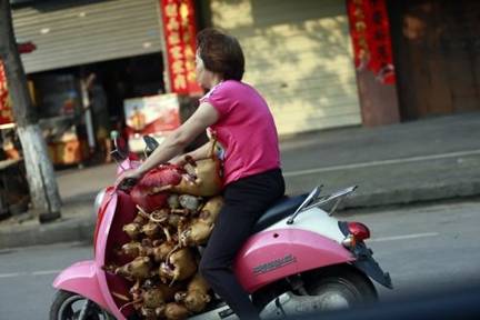 Chùm ảnh lễ hội thịt chó lớn nhất Trung Quốc gây ‘rùng mình’