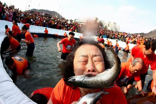 Lễ hội câu cá trên sông băng ở Hàn Quốc