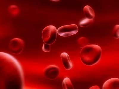Hiểu biết về nhóm máu có lợi ích gì?