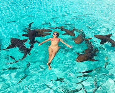 Mặc bikini chụp ảnh tạo dáng cùng bầy cá mập cô gái trẻ suýt mất mạng