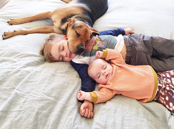 Bộ ảnh ngủ trưa đáng yêu của cặp anh em và chú chó thân thiết