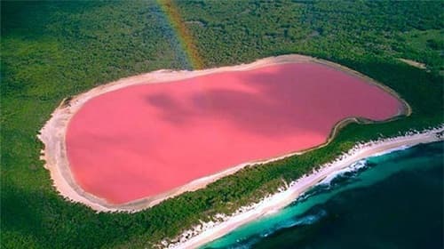 Tại sao hồ nước Lake Hillier ở Australia lại có màu hồng?