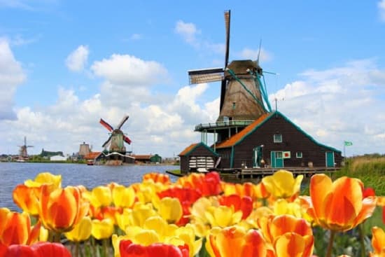Những điều cần biết khi lần đầu du lịch Hà Lan