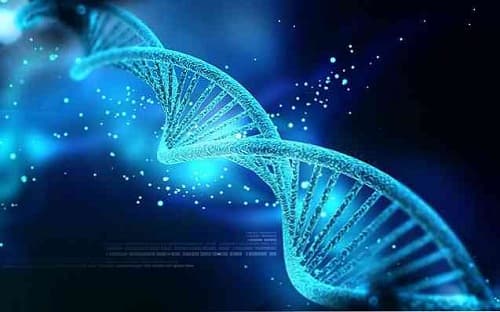 Gắn nhãn, truy xuất các tệp dữ liệu kỹ thuật số ở dạng ADN