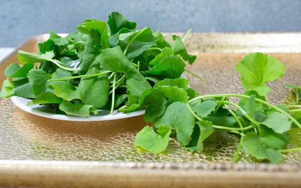 5 cách làm đẹp da từ rau má giúp da khỏe đẹp từ bên trong
