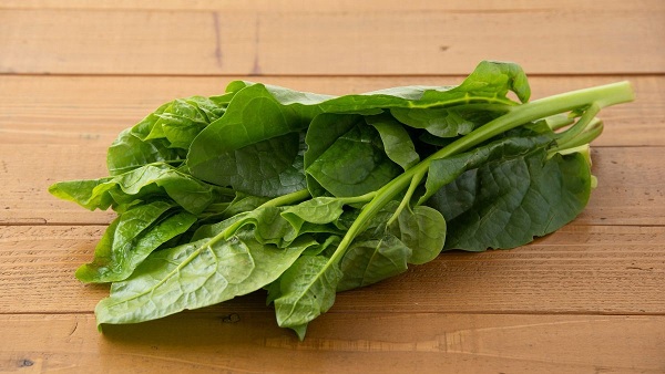 Cách trị tóc khô xơ với mặt nạ rau mồng tơi hiệu quả tại nhà