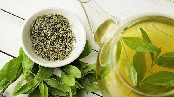 Nên uống trà xanh tươi hay khô để giảm cân hiệu quả nhất?
