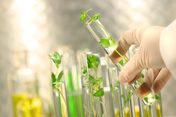 Trẻ hóa da bằng tế bào gốc noãn thực vật, những ai nên thực hiện?