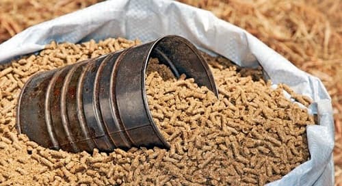 Câu trắc nghiệm Công nghệ lớp 7 Bài 37 có đáp án: Thức ăn vật nuôi