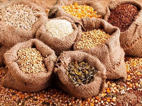 Câu trắc nghiệm Công nghệ lớp 7 có đáp án: Đề thi Giữa học kì 2 Năm học 2021 - 2022