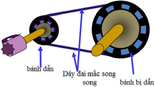 Câu trắc nghiệm Công nghệ lớp 8 Bài 29 có đáp án: Truyền chuyển động