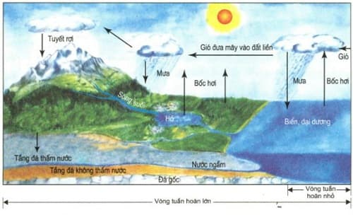 Câu trắc nghiệm Địa lý lớp 6 Bài 19 có đáp án: Thủy quyển và vòng tuần hoàn lớn của nước