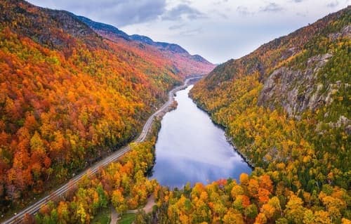 Câu trắc nghiệm Địa Lý lớp 6 Bài 25 có đáp án: Sự phân bố các đới thiên nhiên trên Trái Đất 