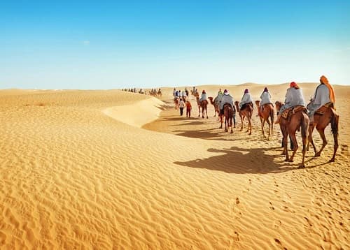 Câu trắc nghiệm Địa Lý lớp 7 Bài 20 có đáp án: Hoạt động kinh tế của con người ở hoang mạc