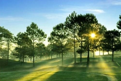 Câu trắc nghiệm Địa Lý lớp 7 Bài 7 có đáp án: Môi trường nhiệt đới gió mùa