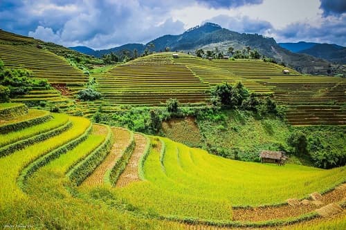 Câu trắc nghiệm Địa Lý lớp 8 Bài 22 có đáp án: Việt Nam - đất nước, con người