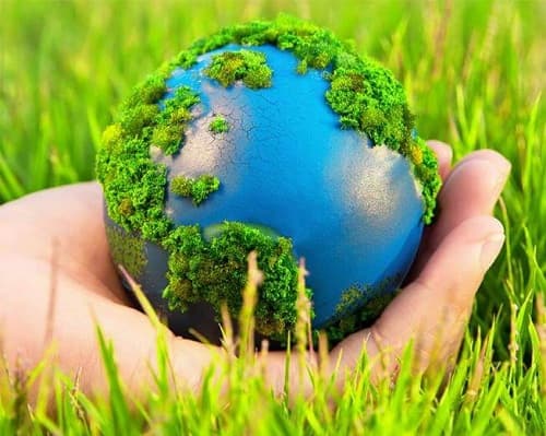 Câu trắc nghiệm GDCD lớp 7 Bài 14 có đáp án: Bảo vệ môi trường và tài nguyên thiên nhiên