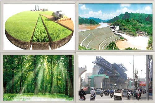 Câu trắc nghiệm GDCD lớp 8 Bài 17 có đáp án: Nghĩa vụ tôn trọng, bảo vệ tài sản nhà nước và lợi ích công cộng