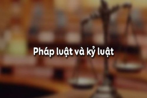 Câu trắc nghiệm GDCD lớp 8 Bài 5 có đáp án: Pháp luật và kỷ luật