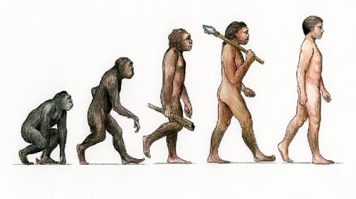 Câu trắc nghiệm Lịch sử lớp 6 Bài 4 có đáp án: Nguồn gốc loài người