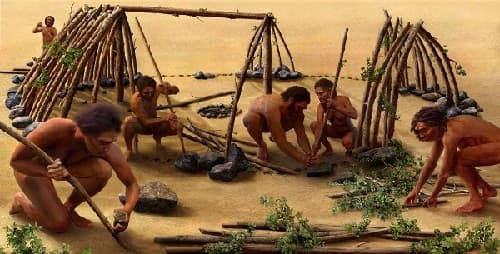 Câu trắc nghiệm Lịch sử lớp 6 Bài 5 có đáp án: Xã hội nguyên thủy - Kết nối tri thức