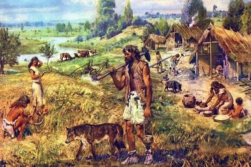 Câu trắc nghiệm Lịch sử lớp 6 Bài 6 có đáp án: Sự biến chuyển và phân hóa của xã hội nguyên thủy